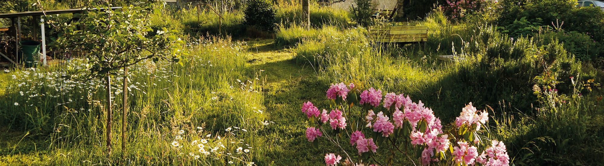 SMECTOM du Plantaurel (09)